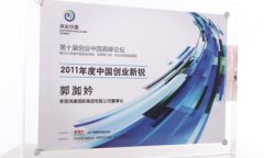 2011年度中国创业新锐